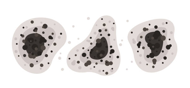 Best Airborne Mold Testing  in Highland Park, MI