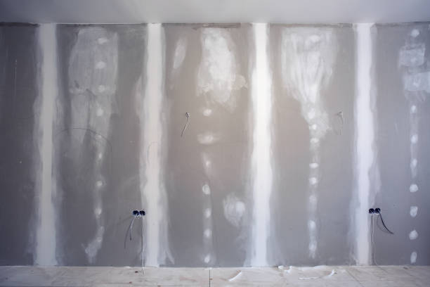 Best Real Estate Mold Inspection  in Highland Park, MI